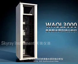 WAOL 3000Ʒ
